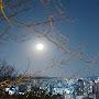 @윤범아범