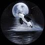 @FataMorgana-oo1my
