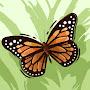 @amyholcomb6484