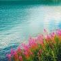 @منوعاتمنوعات-ز7غ3ض