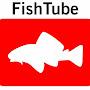 @Fishtube3