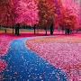 @setayeshkioomarsi6562