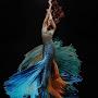@wendysomerville9830