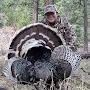 @RockyMtnGobblers