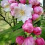 @uthamankelambet4271