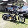@bikesbirdsandbonsai2012