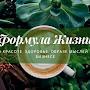 @ФормулаЖизни-ч3л