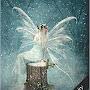 @fairyland125