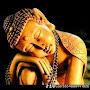 @ganghim39js02