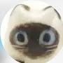 @Thunder1-h1j