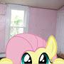 @maeflwerz7995