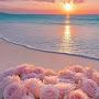@seirclngihicranumid2560