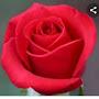 @zuhafatima5233