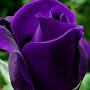 @Ashlee-ff4mq