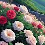 @arwaalsamneh5965
