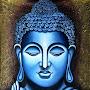 @vijay2007india
