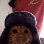 @SovietCat-123