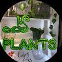 @indoorplantnursery3064