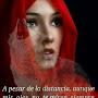 @mcarmengaldonsanchez5156