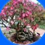 @QuytNguyenvan-sp3zv