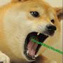 @Doge-1M