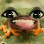 @mentally_unstableworm1852