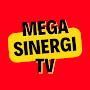MEGA SINERGI TV