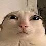 @user-tf7zi6nq3v