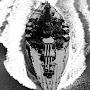 @Mr.BattleShip19