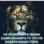 @Камчы-ш3д