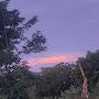 @godefridusgading466