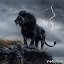 @mahmadsaidrahmatulloev8741