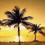 @Miamis4me305