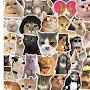 @fatnanheryiswanto8118