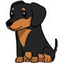 Dachshund YT