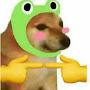 @ToadTheDoge