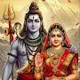 @AartiDevi-5