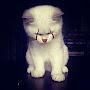 @this_is_edosya4325
