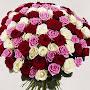 @denden3819