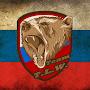 Russian Bears Team