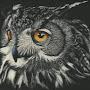 @nightwatch2972