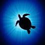 Floaty Turtle