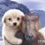 @qq-le5is