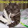 @сашакрези-ц5б