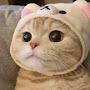 @구루둥
