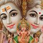 @anilnarang8837