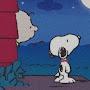 @Snoopycharilebrownfan77