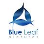 Blue Leaf Pictures