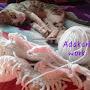 @Adakariwork