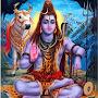 @himanshusehgal6011